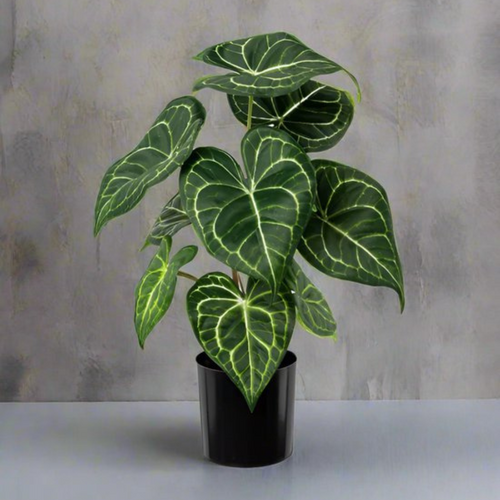 Flourify kunstplant - Anthurium - 37 cm - vtwonen shop