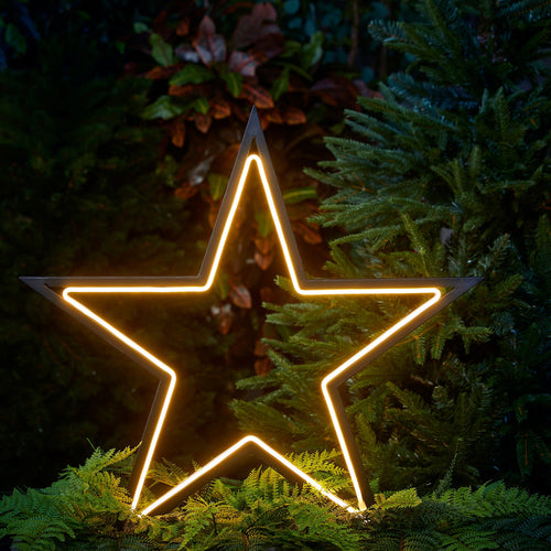 Luca Lighting Garden d'Light Ster Tuinsteker met Warm Witte LED Verlichting - L90 x H102 cm - Metaal - Zwart - vtwonen shop