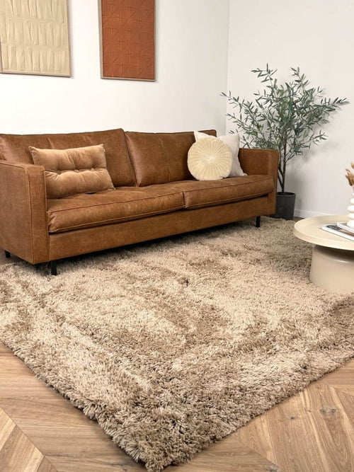Interieur05 vloerkleed Pilo - hoogpolig - taupe - 160 x 230 cm