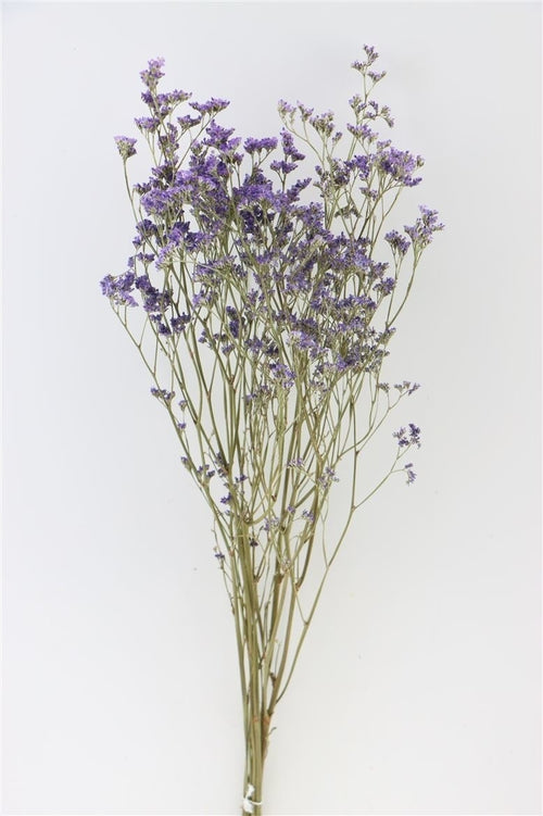 My Flowers.shop Blauw gedroogde Zeelavendel | Blauwe Limonium Diamond droogbloemen  | Lengte ± 70 cm | Per 5 stelen - vtwonen shop