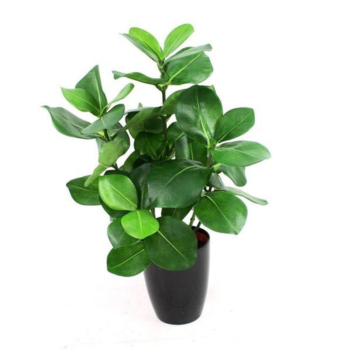 Maxifleur Clusia kunstplant 40cm in pot 10cm