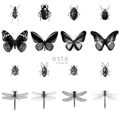 ESTAhome XXL behang pentekening insecten zwart wit - 50 x 900 cm - 158827 - vtwonen shop