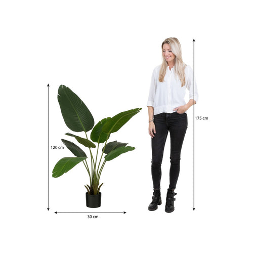 Mica Decorations Kunstplant Bananenboom - H120 x Ø30 - Groen