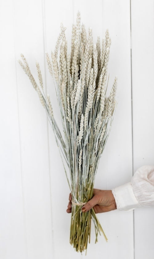 My Flowers.shop White Misty gedroogde tarwe | White Misty Triticum droogbloemen | Lengte ± 70 centimeter | Per bos - vtwonen shop