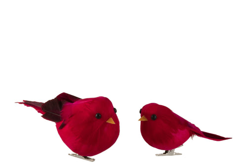 J-Line vogels met clip - polyfoam/veren - donkerrood - large - 6 stuks