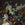 Superfresco Easy Fotobehang - Palmlelie - 280x200cm