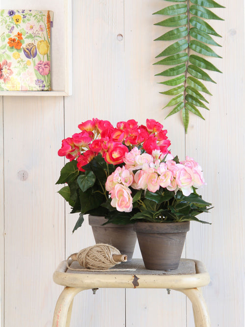 Mica Decorations Begonia Kunstplant in Bloempot Stan - H30 x Ø25 cm - Donkerroze