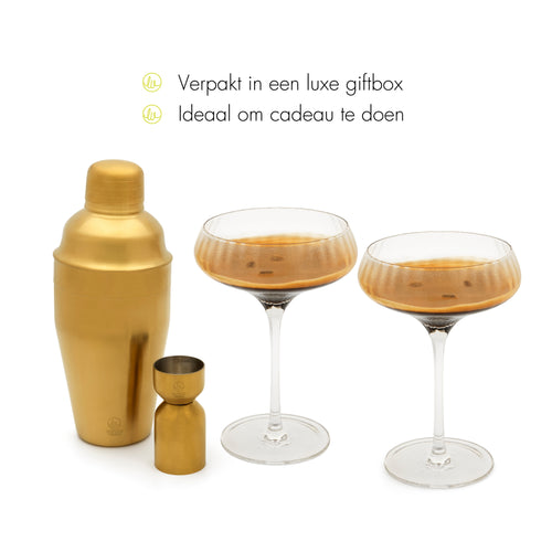 Leopold Vienna - Martini cocktailset Arinto - Shaker 0,5 liter - Met 2 glazen en een jigger - vtwonen shop