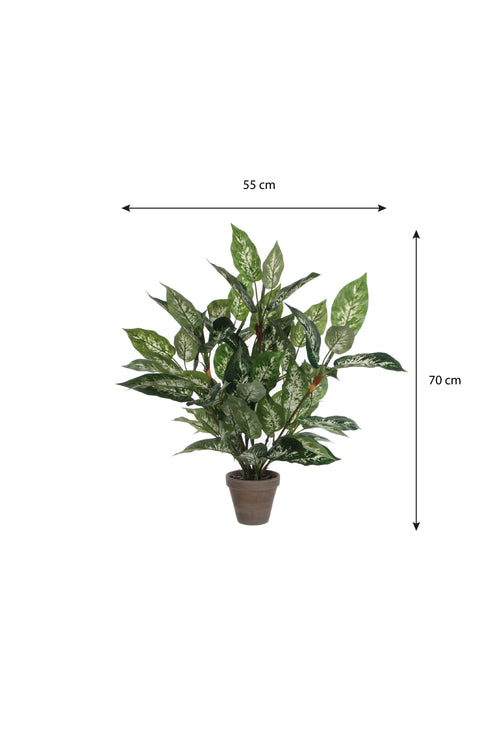Mica Decorations Dieffenbachia Kunstplant in Bloempot Stan - H70 x Ø55 cm - Groen