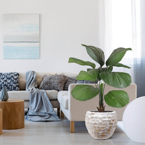 Maxifleur Licuala kunstpalm 115cm