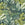 Art for the Home Fotobehang - Oceane