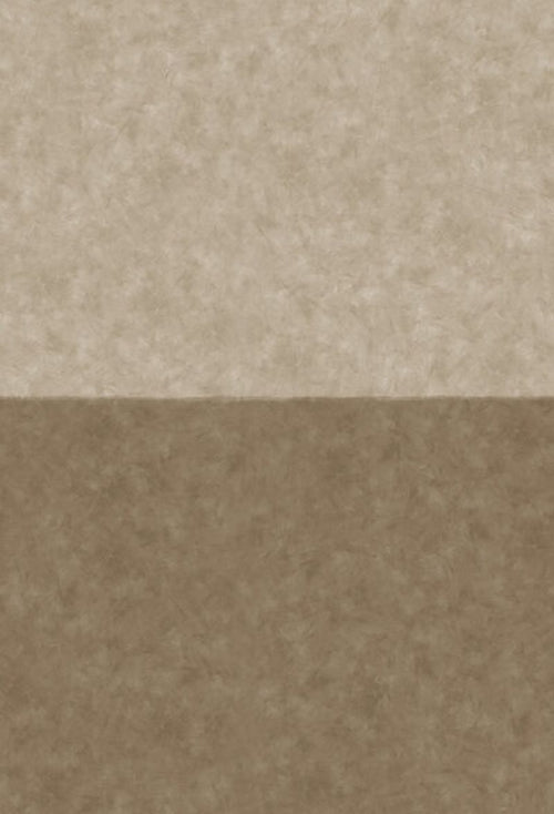 Borastapeter fotobehang betonlook beige - 180 x 265 cm - 660216 - vtwonen shop