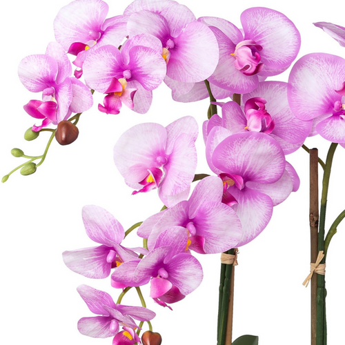 Flourify - Kunstbloem - Orchidee - 53 cm