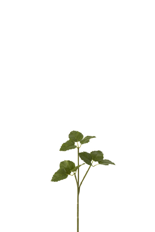 J-Line decoratie tak Hoppe - kunststof - groen - 36 stuks - vtwonen shop