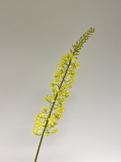 My Flowers.shop Gele eremurus zijden bloem | Lengte 82 centimeter | Per stuk - vtwonen shop