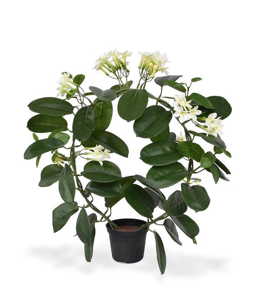 Maxifleur Stephanotis kunstplant 40cm