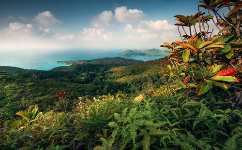 Sanders & Sanders fotobehang tropisch landschap groen en blauw - 450 x 280 cm - 612630