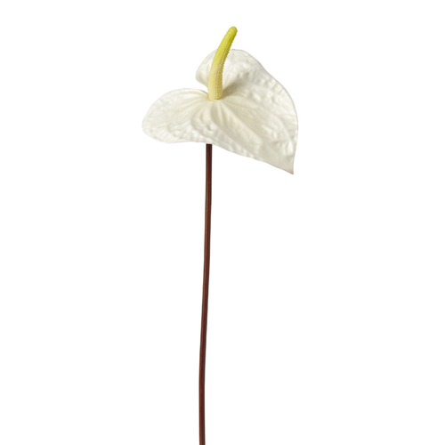 Sia Deco Kunstmatige Anthurium Stengel - Wit - H67 - vtwonen shop