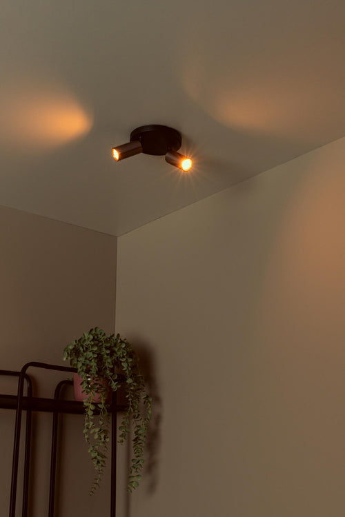 Lucide plafondspot RITMO - 2xGU10 (MR11) - Koffie - vtwonen shop