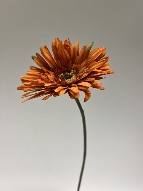 My Flowers.shop Oranje gerbera zijden bloem | Lengte 70 centimeter | Per stuk - vtwonen shop