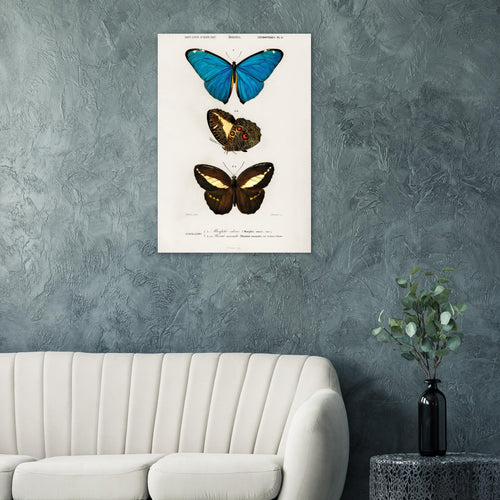 Artfulprints  Charles Dessalines d'Orbigny - Different types of butterfly   poster 30x40 cm - vtwonen shop