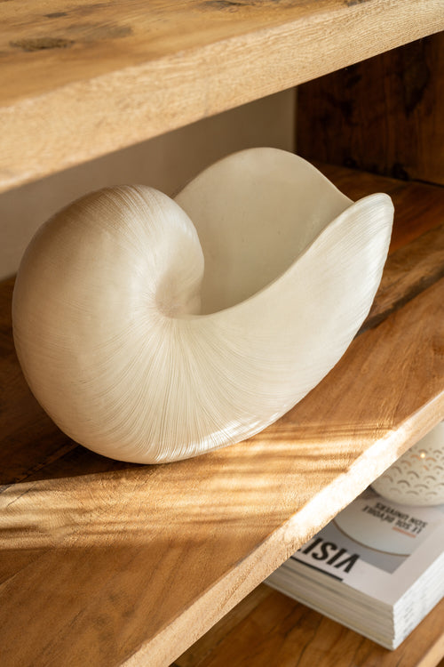 J-Line decoratie Schelp - polyresin - wit
