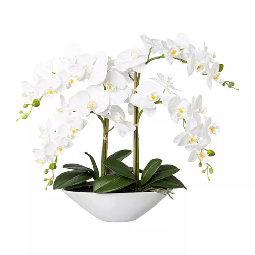 Flourify - Kunstbloem - Orchidee - 53 cm - vtwonen shop