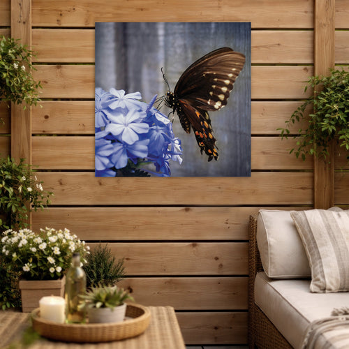 Art for the Home Buitencanvas - Vlinder op een bloem - 50x50cm