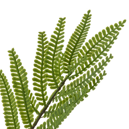 Flourify - kunstplant - Mimosa - 130 cm - vtwonen shop