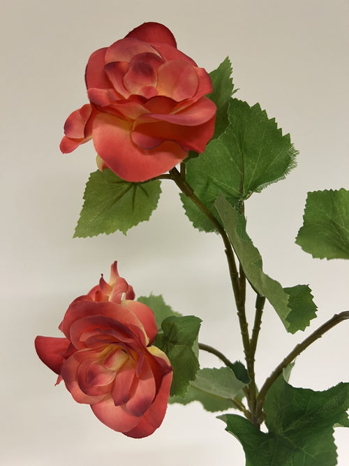 My Flowers.shop Roze korte begonia zijden bloem | Lengte 30 centimeter | Per stuk - vtwonen shop