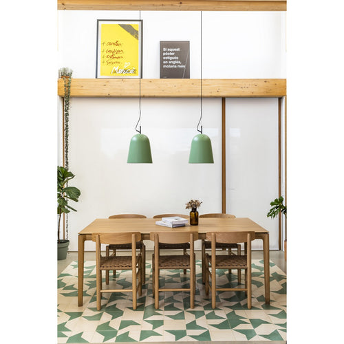 Faro STUDIO 29 cm Dome hangende plafondlamp groen