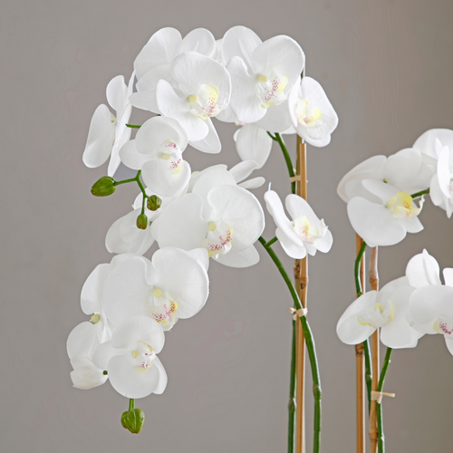 Sia Deco Orchidee Compositie Met Vaas - wit - goud - H79 - vtwonen shop