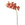 Sia Deco Kunstmatige Phalaenopsis Orchidee Stengel - Rood - H100