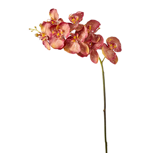 Sia Deco Kunstmatige Phalaenopsis Orchidee Stengel - Rood - H100 - vtwonen shop