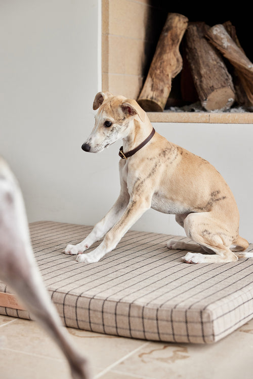 OYOY Kraag Robin - leder - vtwonen shop