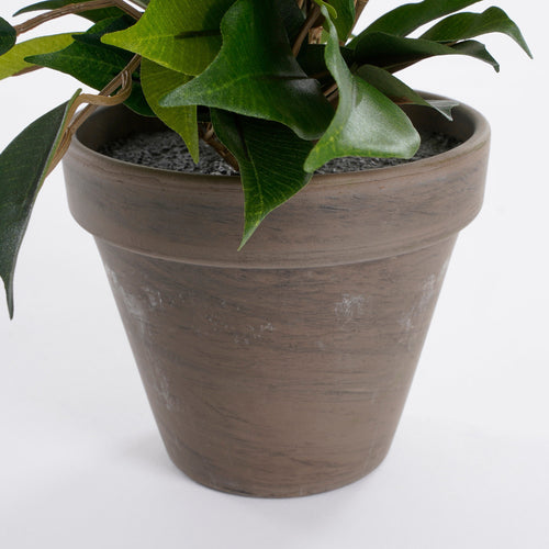 Mica Decorations Ficus Natasja Kunstplant in Bloempot Stan - H40 x Ø30 cm - Groen
