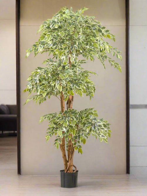 Flourify kunstplant - Ficus Benjamina - 165 cm