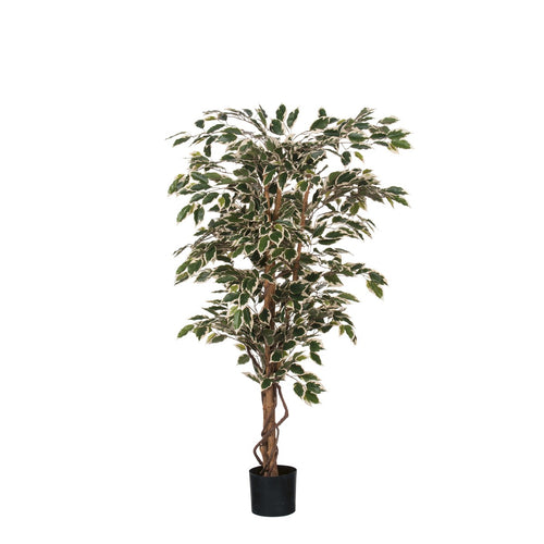 Mica Decorations Ficus Kunstplant - H150 x Ø75 cm - Groen Bont