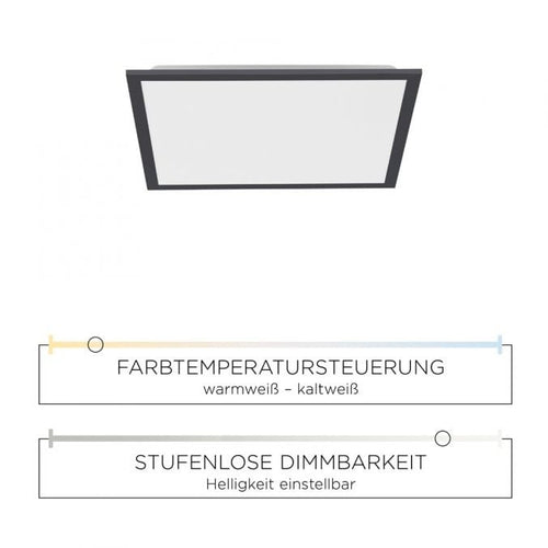 Paul Neuhaus plafondlamp Flat - 1 lichts - 45.5  x 6.6   cm - zwart - vtwonen shop