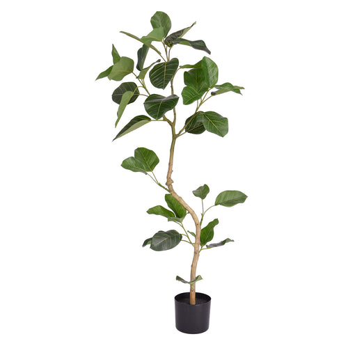 Maxifleur Ficus Audrey Kunstplant RT 120cm
