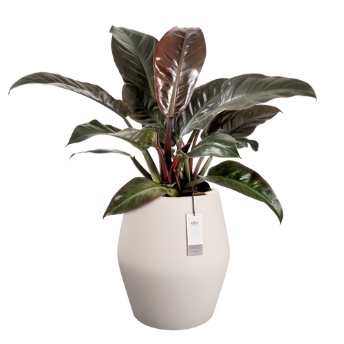 elho june split high 46 linnen wit | Bloempot |Premium statementdesign