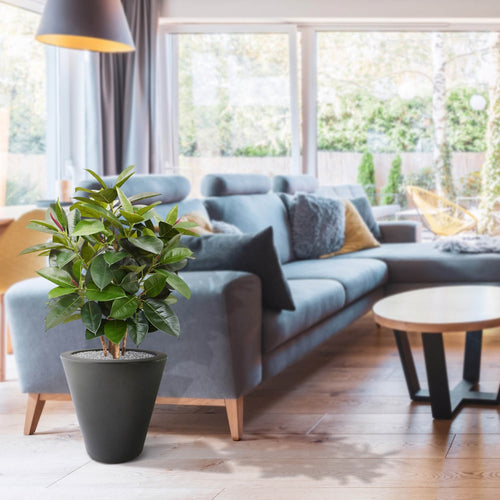 Maxifleur Elastica Robusta kunstplant 90cm - FR - brandvertragend