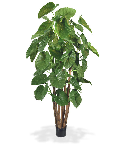 Maxifleur Alocasia Calidora Giant deluxe kunstboom  210cm