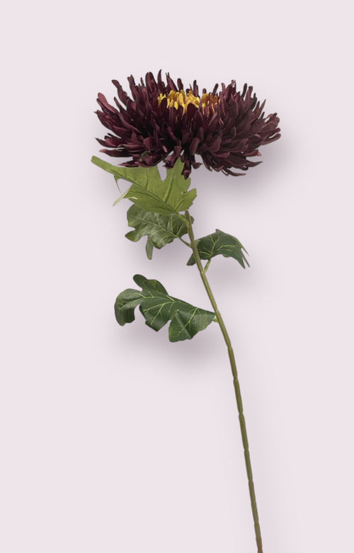 My Flowers.shop Bordeauxkleurige chrysant zijden bloem | Lengte 65 centimeter | Per stuk - vtwonen shop