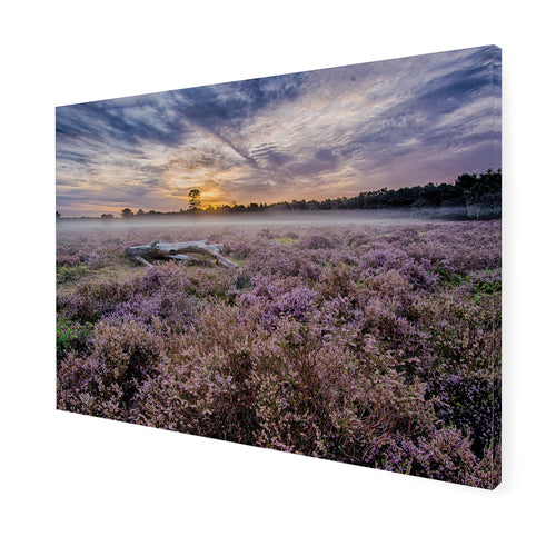 Art for the Home Buitencanvas - Lavendelveld - 50x70cm - vtwonen shop