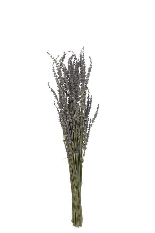 J-Line droogbloemen - Bundel Gedroogde Lavendel - riet - paars - vtwonen shop