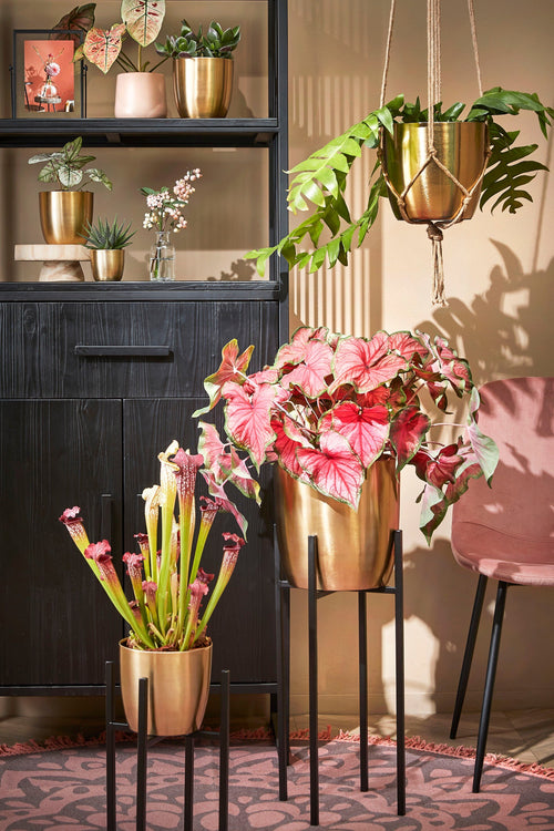 Mica Decorations Alano Bloempot - H21 x Ø22 cm - Metaal - Goud - vtwonen shop