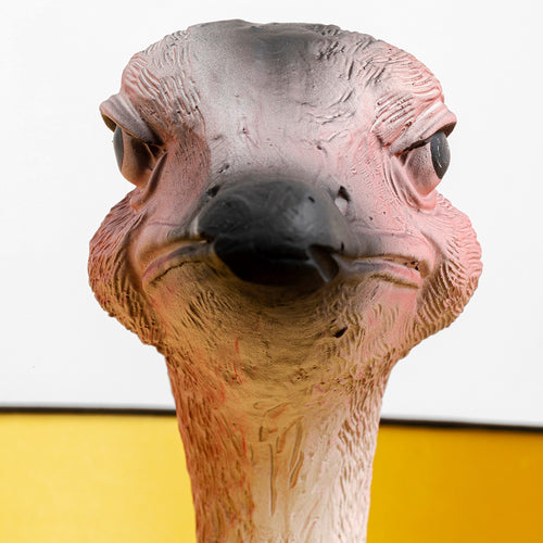 Kare Design Vloerlamp struisvogel 147cm - vtwonen shop