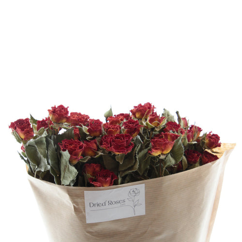 My Flowers.shop Tien gedroogde oranje trosrozen | Lengte 50 centimeter | Per bos te bestellen - vtwonen shop