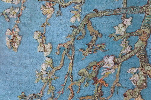 Canvas 60x40 Amandel - vtwonen shop